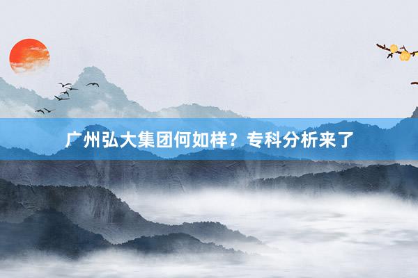 广州弘大集团何如样？专科分析来了